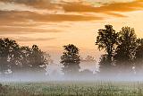 Misty Sunrise_26806